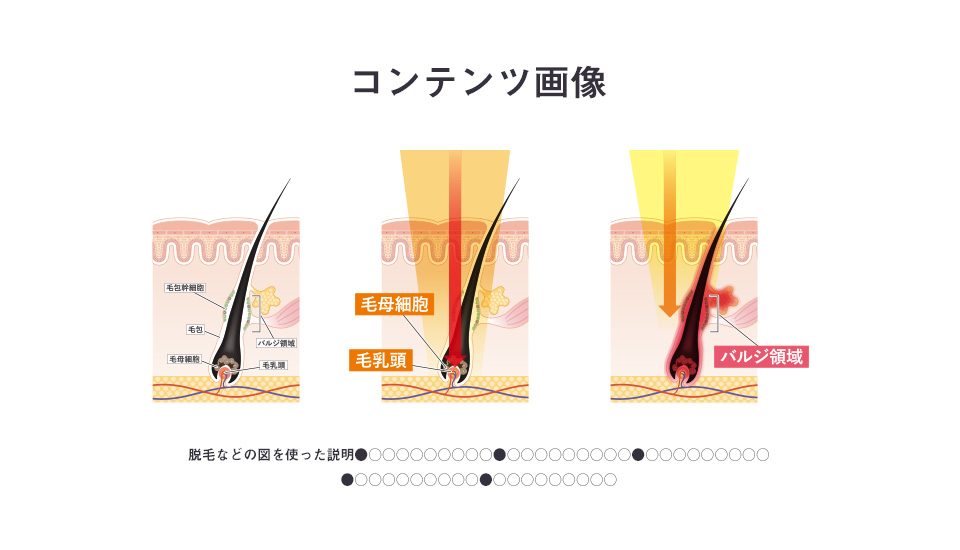 50_contents02